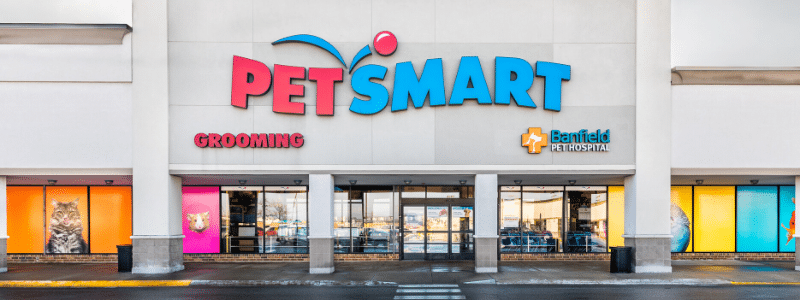 pratt-visual-petmart-windows-main (1)